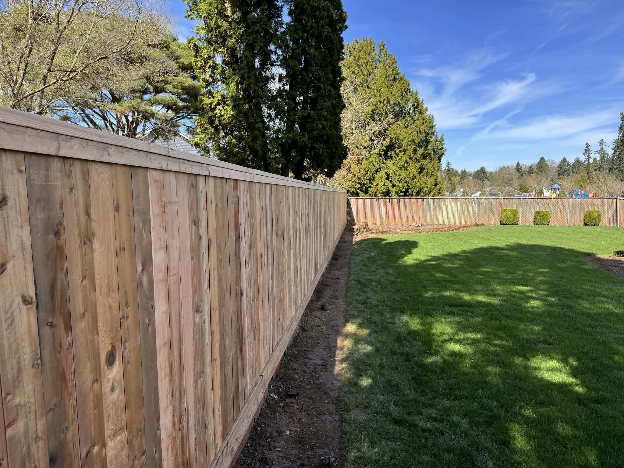 Cedar fence backyard lawn in Beaverton, OR