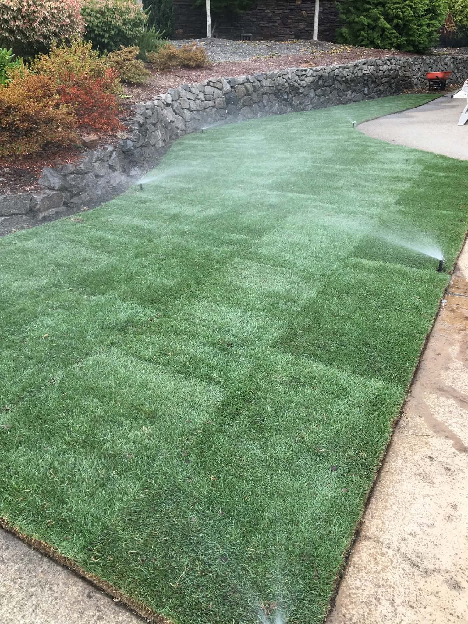 Backyard turf installation in Camas, WA