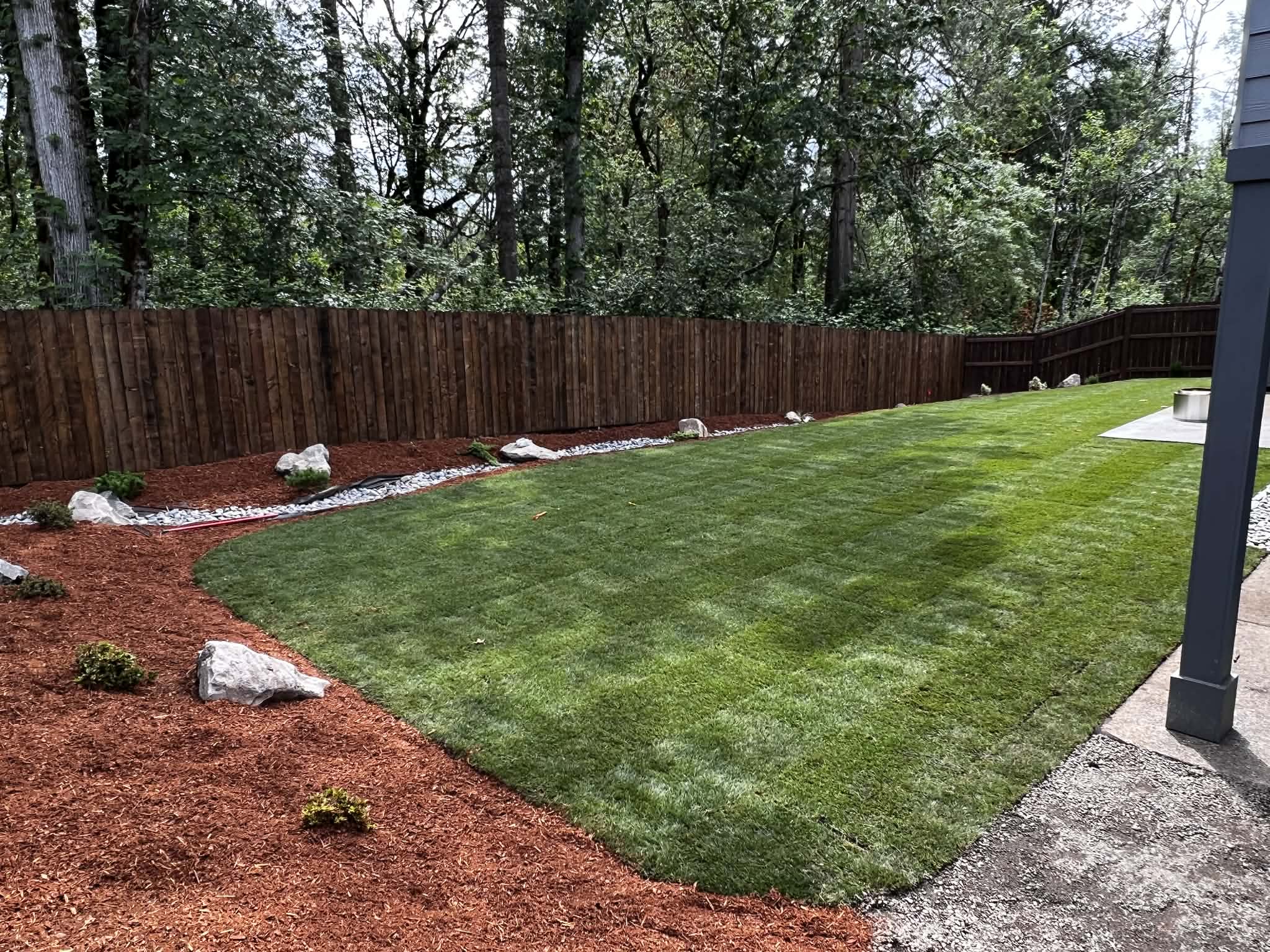 Backyard landscape sod in Portland, OR